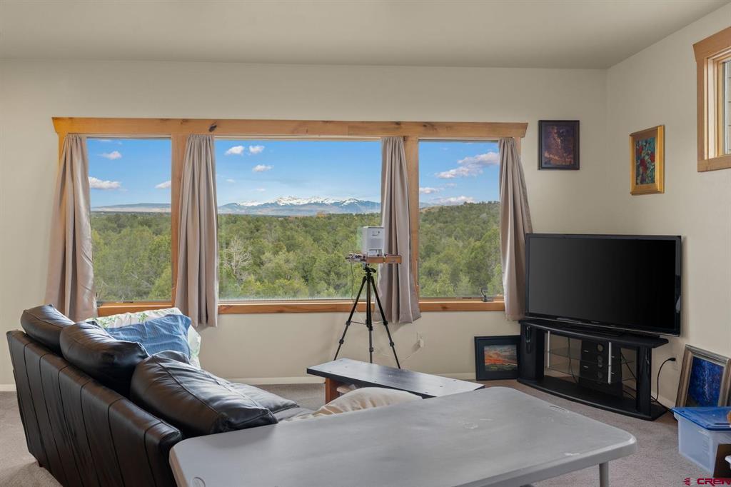 14466 Road 32.1 Mancos CO 81328