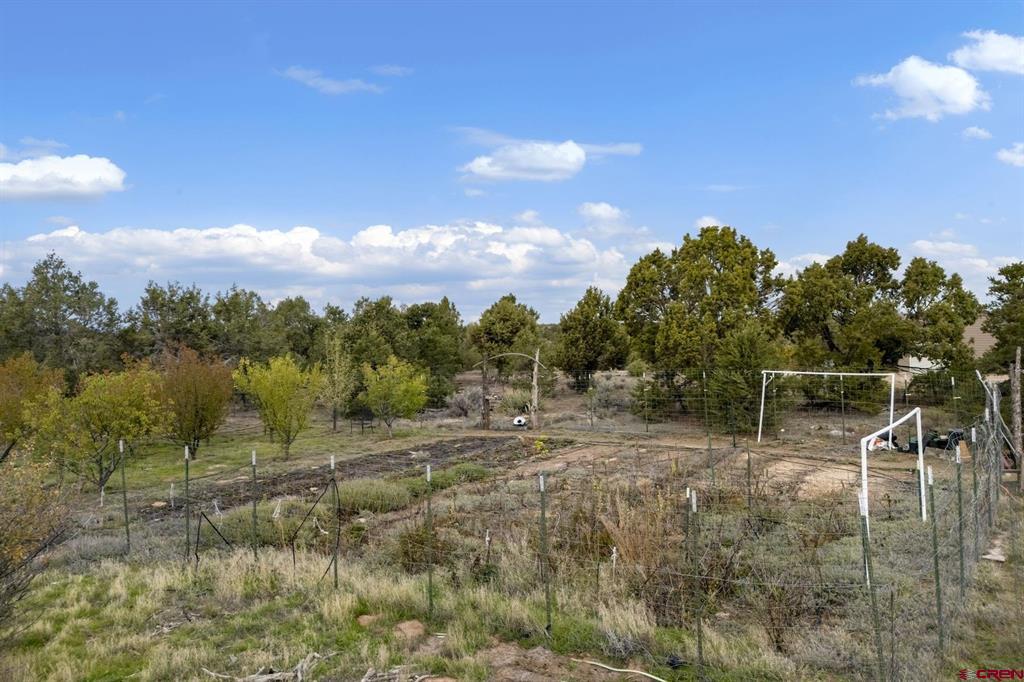 14466 Road 32.1 Mancos CO 81328