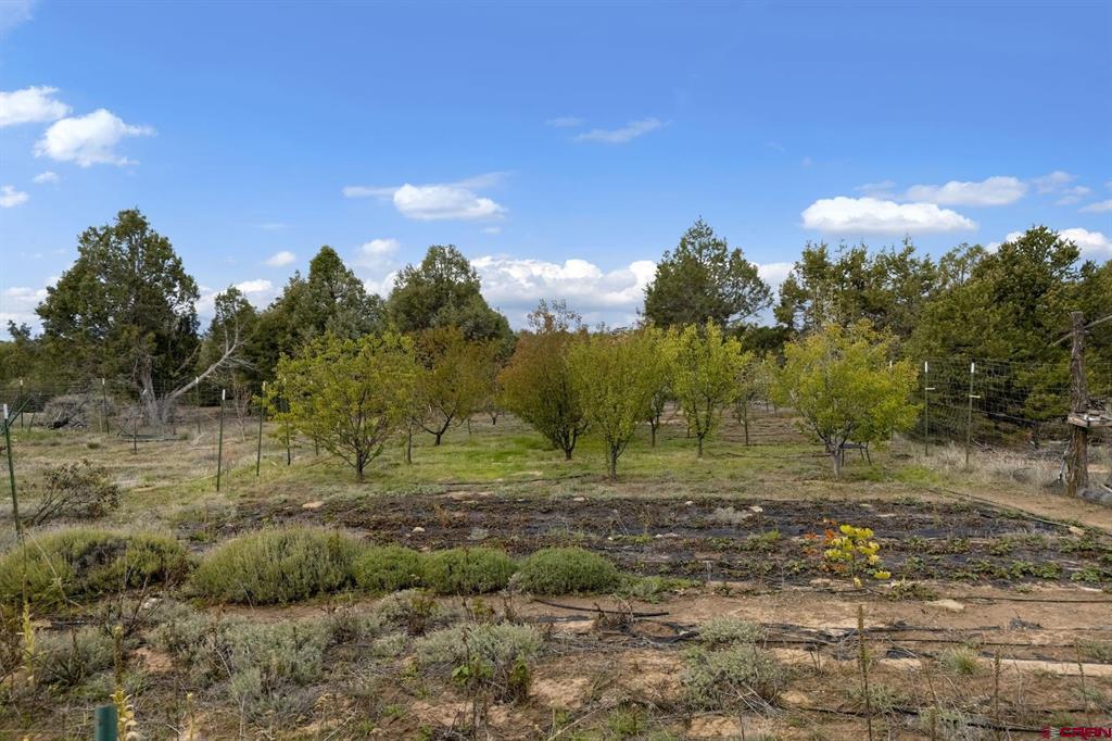 14466 Road 32.1 Mancos CO 81328