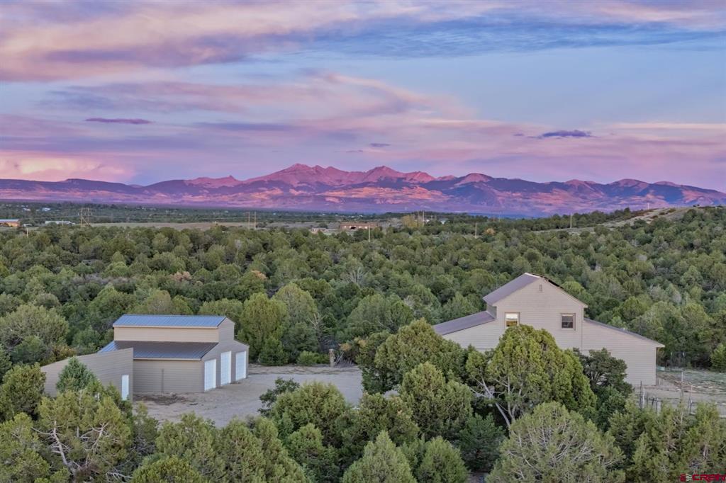 14466 Road 32.1 Mancos CO 81328