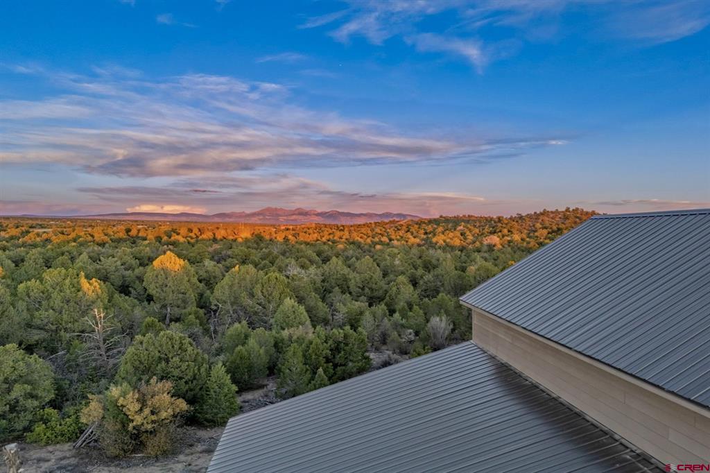 14466 Road 32.1 Mancos CO 81328