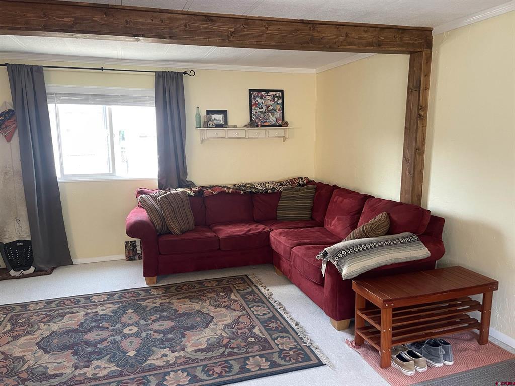485 Florida Road Durango CO 81301