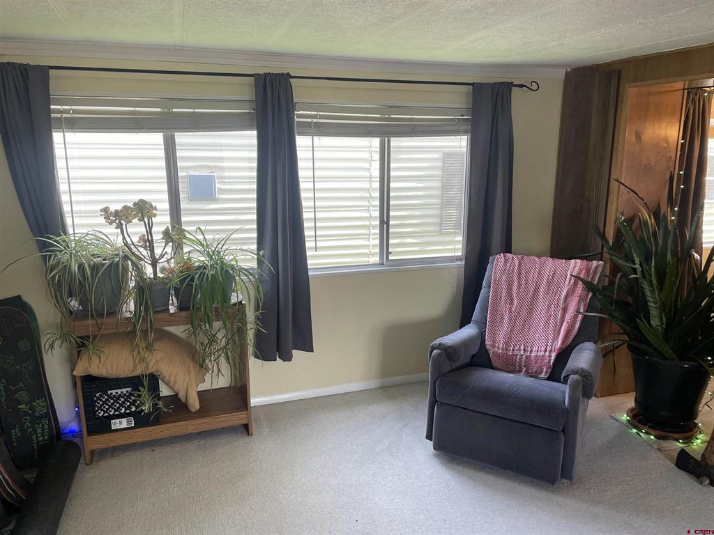 485 Florida Road Durango CO 81301