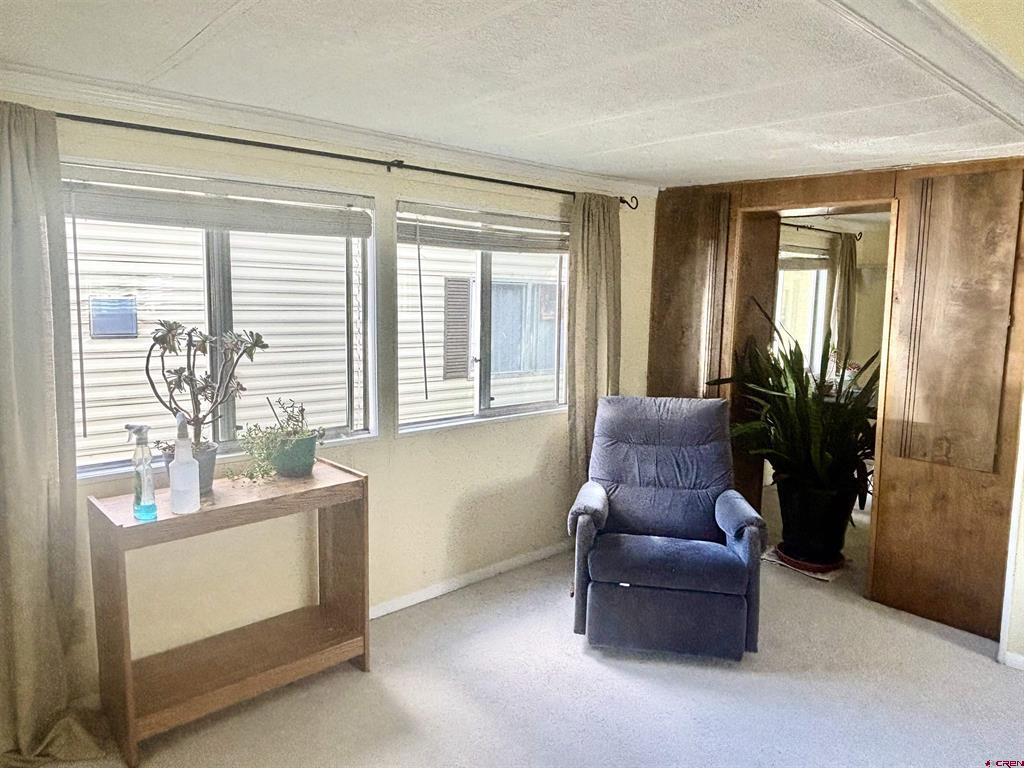 485 Florida Road Durango CO 81301
