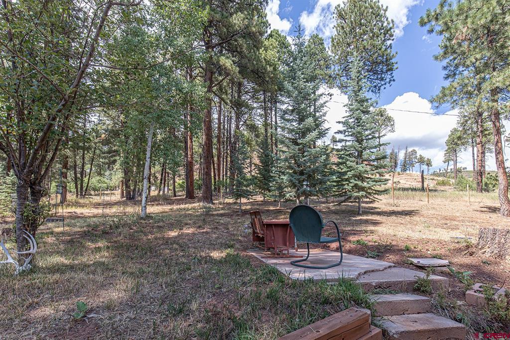 221 Vallecito Drive Bayfield CO 81122