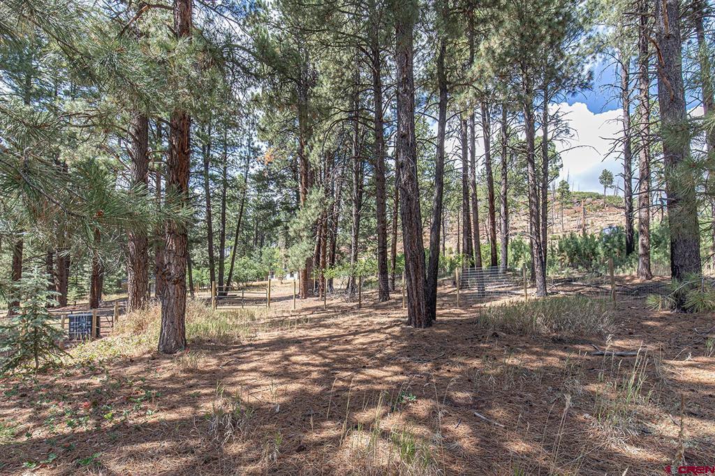 221 Vallecito Drive Bayfield CO 81122