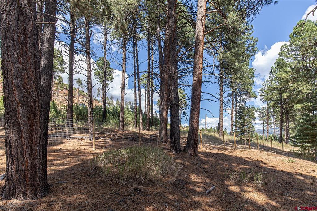 221 Vallecito Drive Bayfield CO 81122