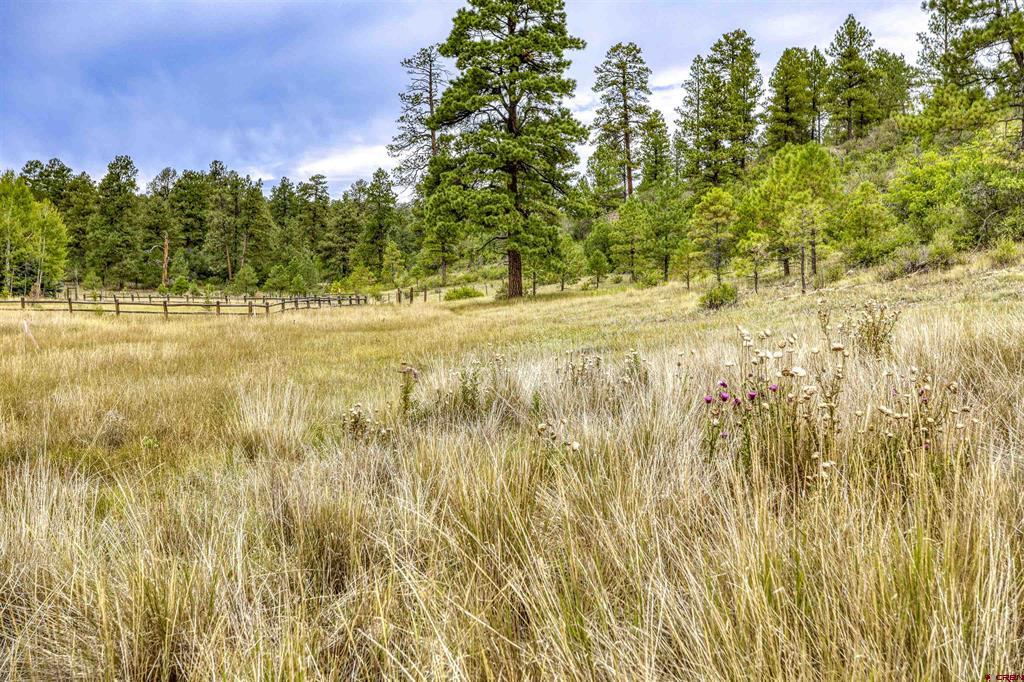 159 Snow Circle Pagosa Springs CO 81147