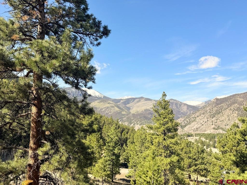 1782 Red Mountain Drive Lake City CO 81235
