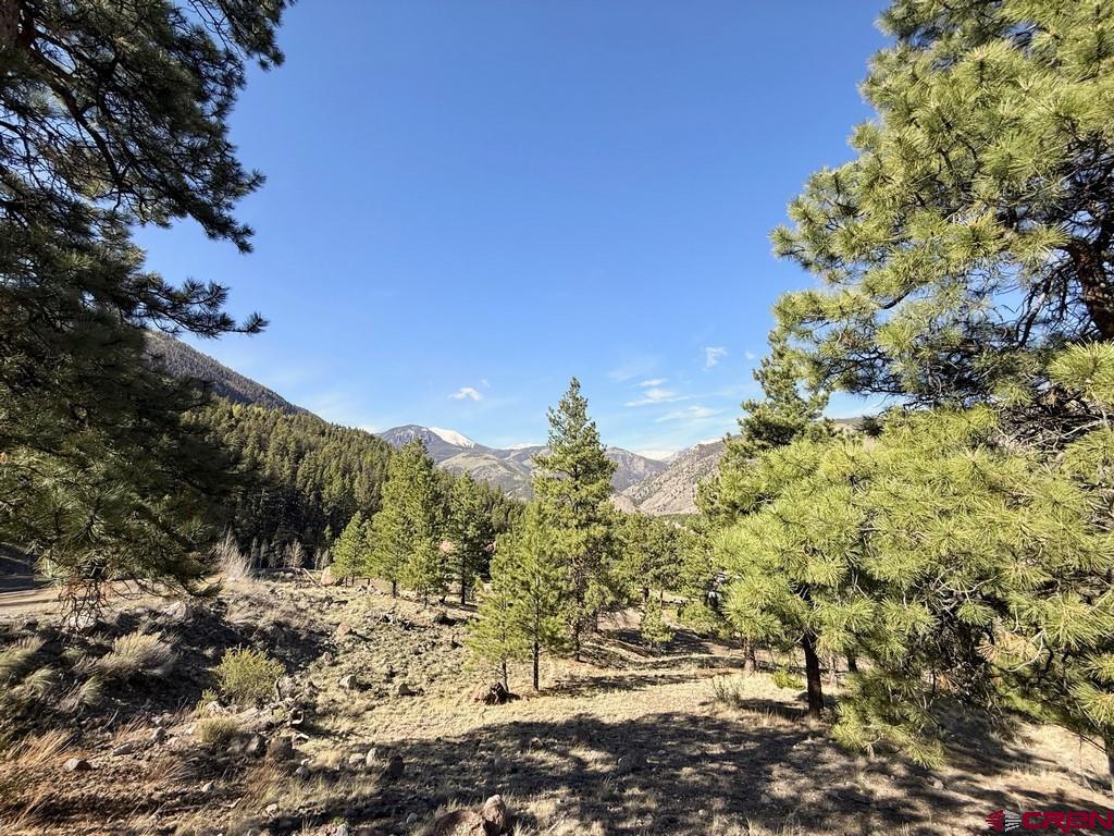 1782 Red Mountain Drive Lake City CO 81235