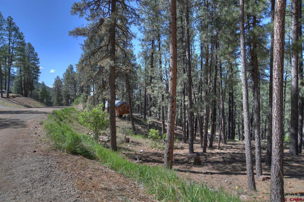 277 & 297 Pine Top Drive Bayfield CO 81122