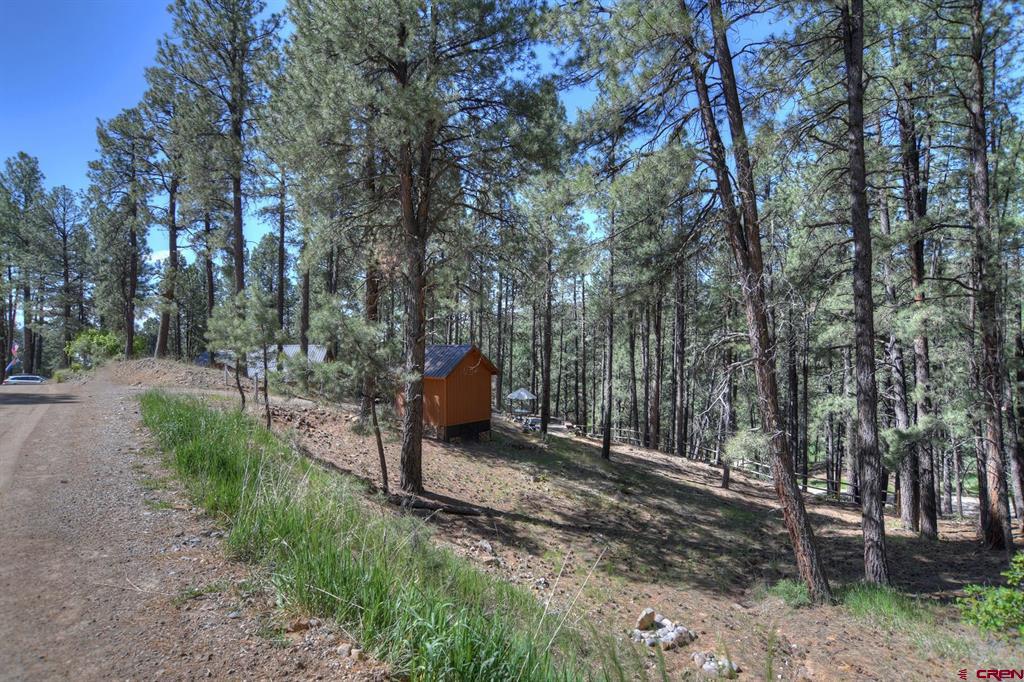 277 & 297 Pine Top Drive Bayfield CO 81122