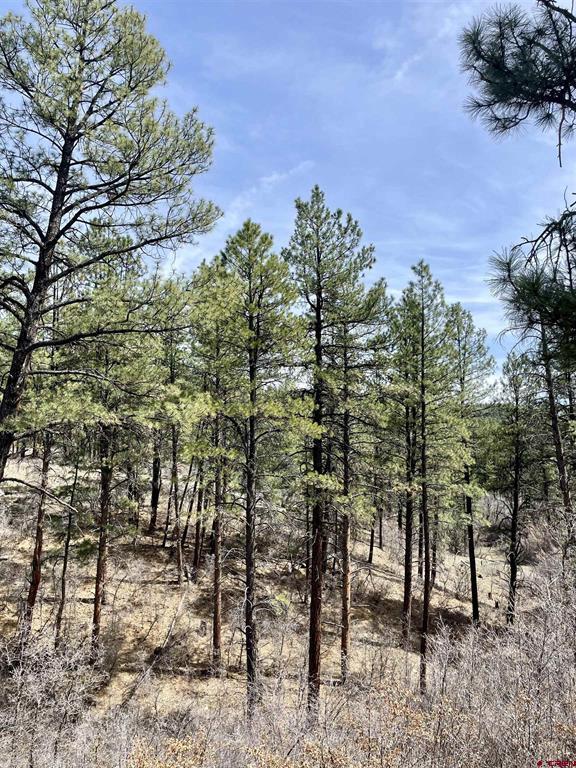 1481 Oak Drive Pagosa Springs CO 81147
