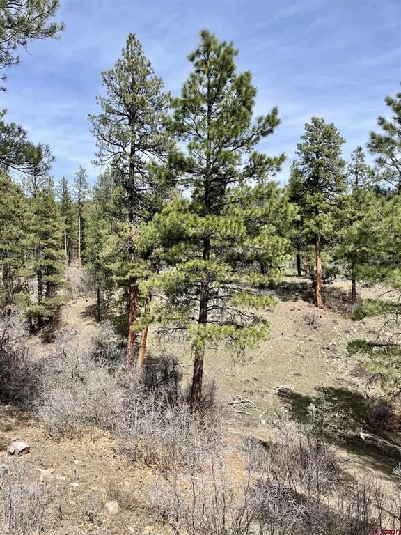 1481 Oak Drive Pagosa Springs CO 81147
