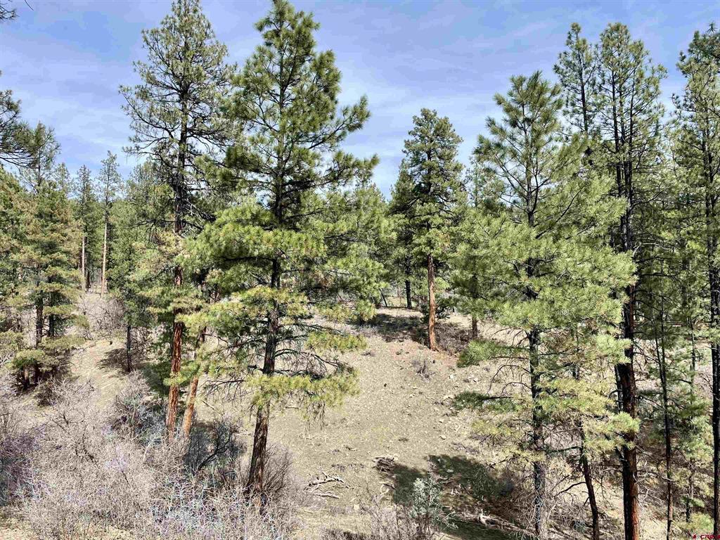 1481 Oak Drive Pagosa Springs CO 81147