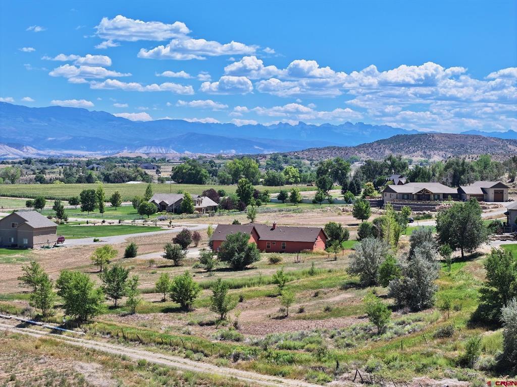 63375 Ridge Overlook Court Montrose CO 81403