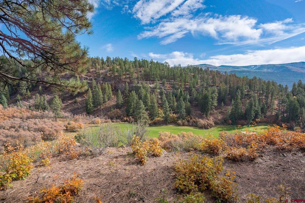 961 N Tamarron Drive Durango CO 81301