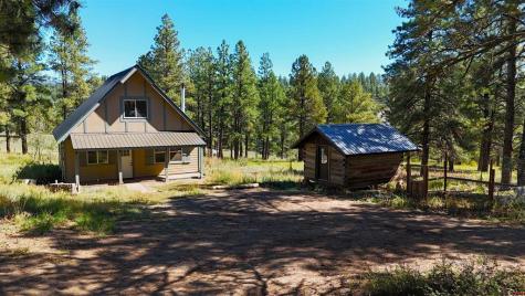 515 Buena Vista Pagosa Springs CO 81147