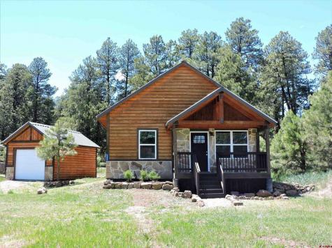 346 Hills Pagosa Springs CO 81147