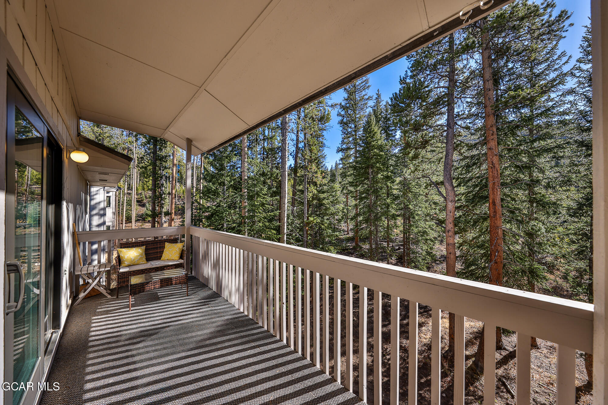 46 E Viking Drive Winter Park CO 80482