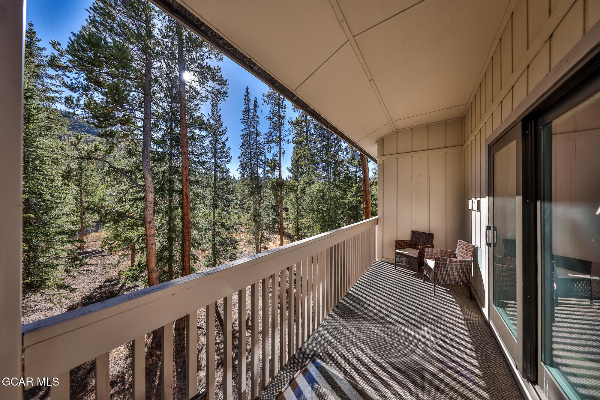 46 E Viking Drive Winter Park CO 80482