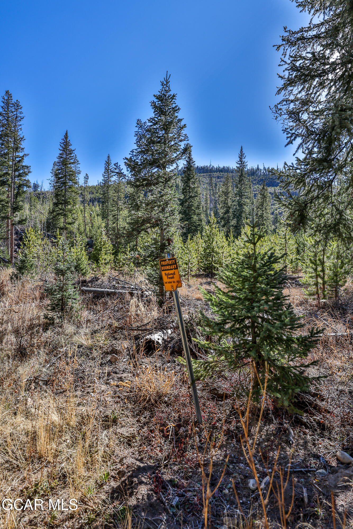 46 E Viking Drive Winter Park CO 80482