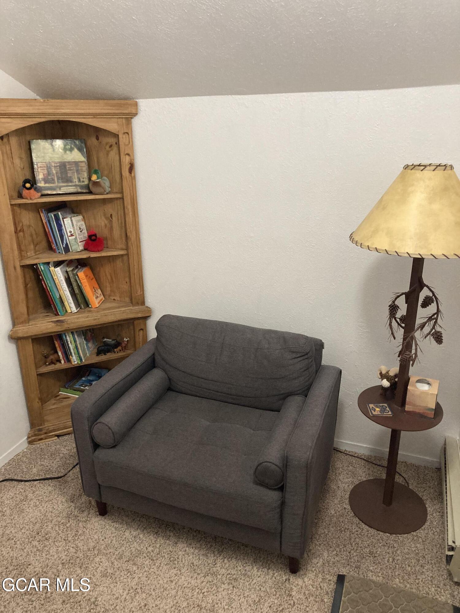 306 Elk Lane Grand Lake CO 80447