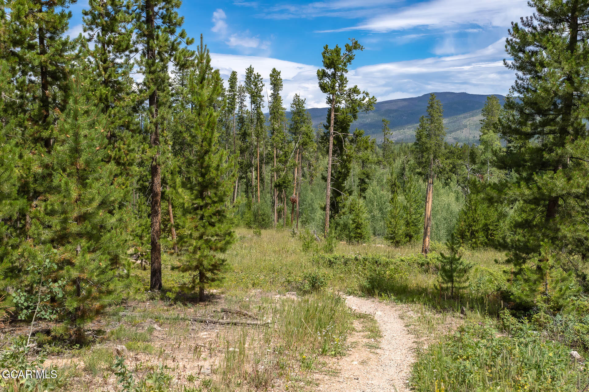 200 GCR 8344 Fraser CO 80442