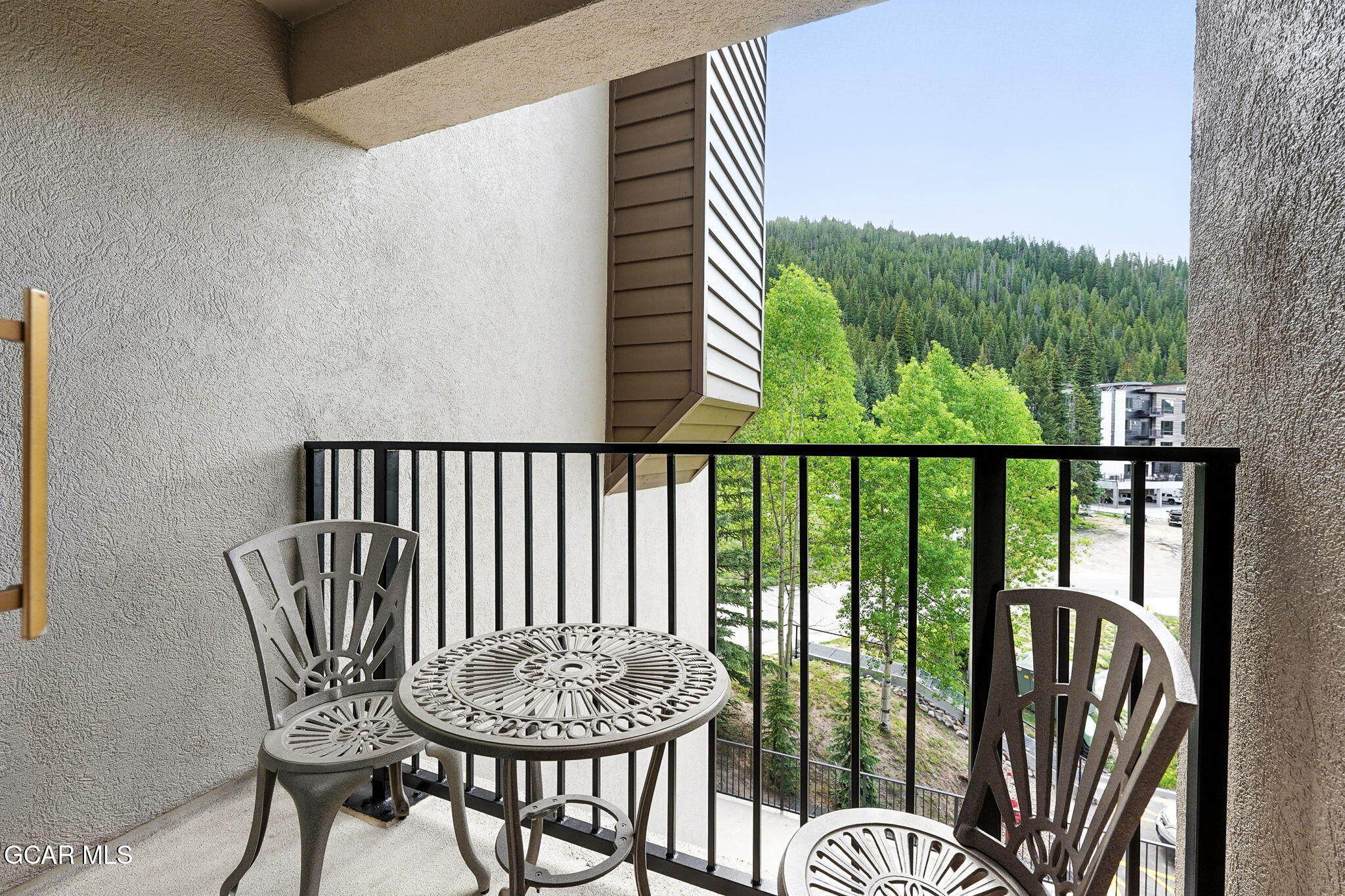 313 Iron Horse Way Winter Park CO 80482