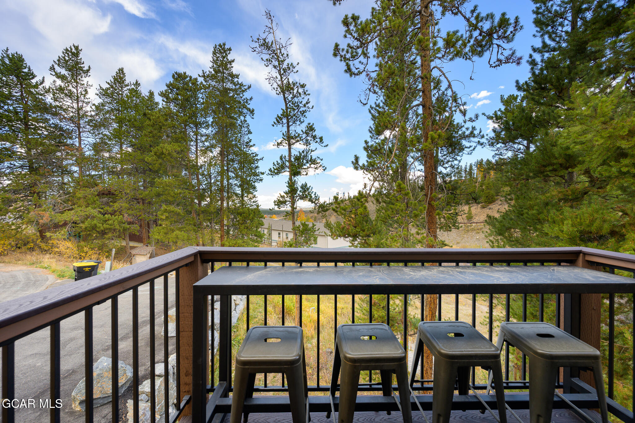 843 Badger Lane Fraser CO 80442