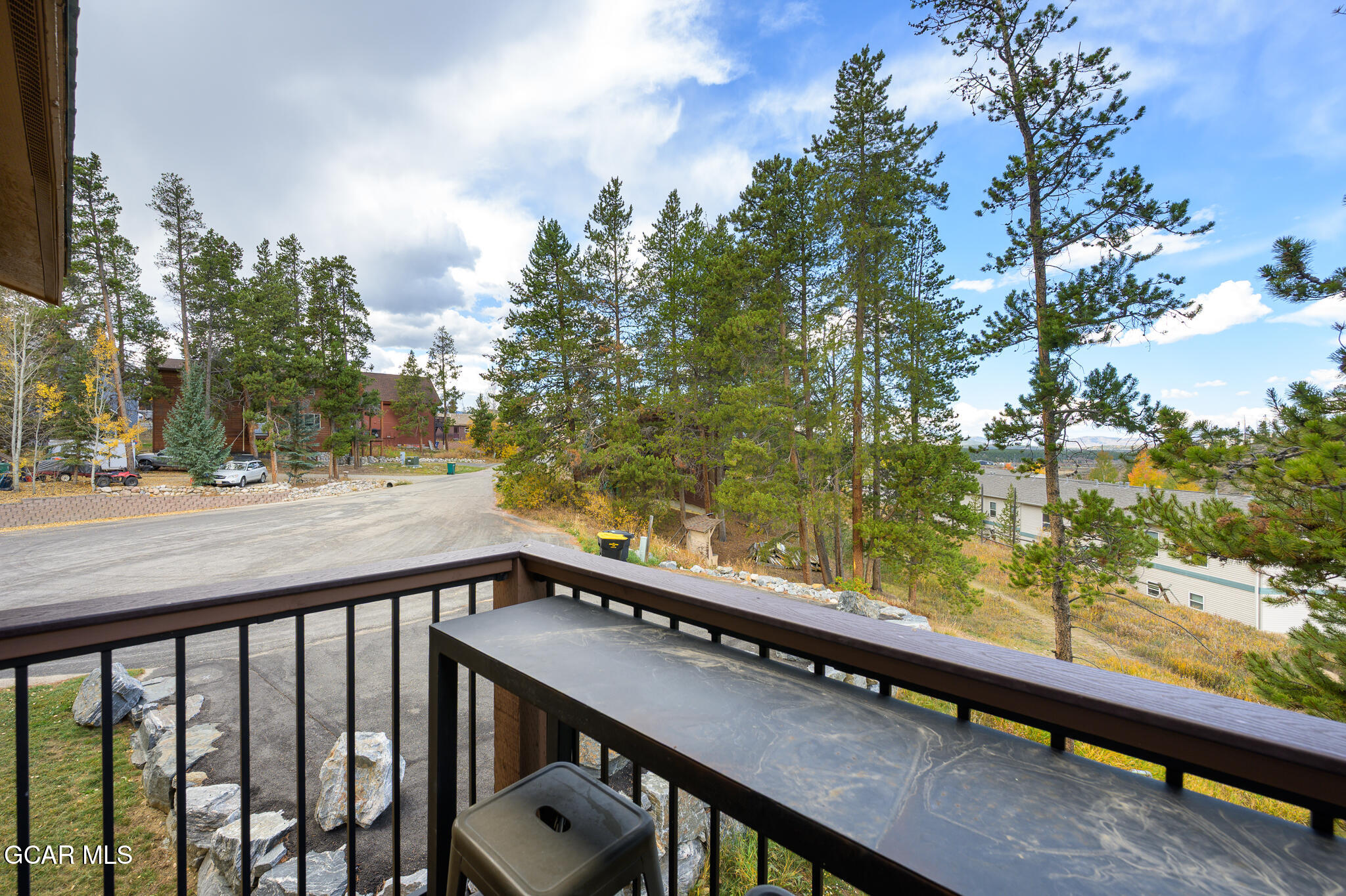 843 Badger Lane Fraser CO 80442