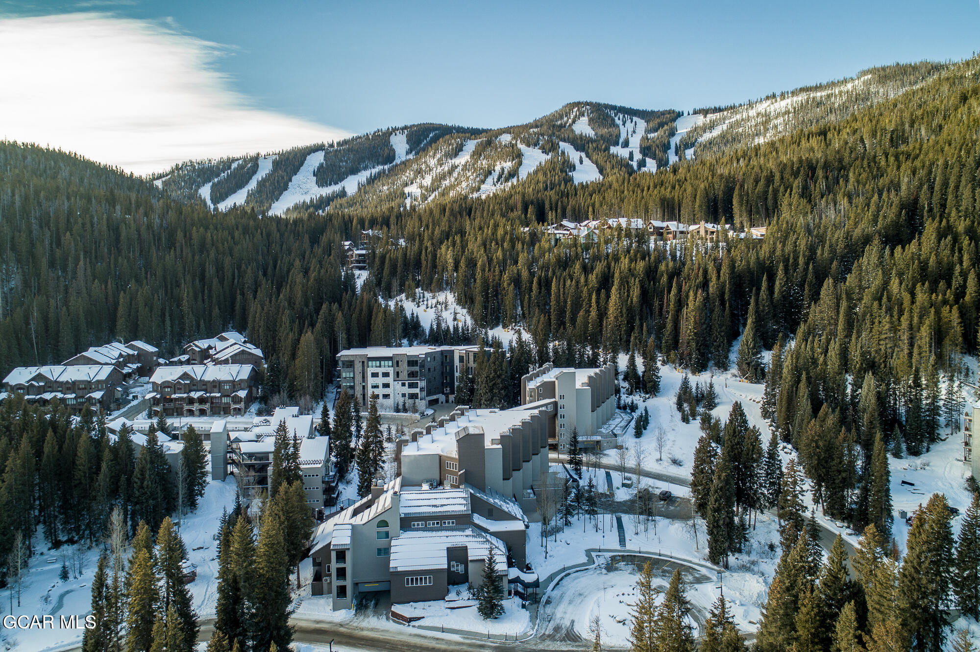 313 Iron Horse Winter Park CO 80482