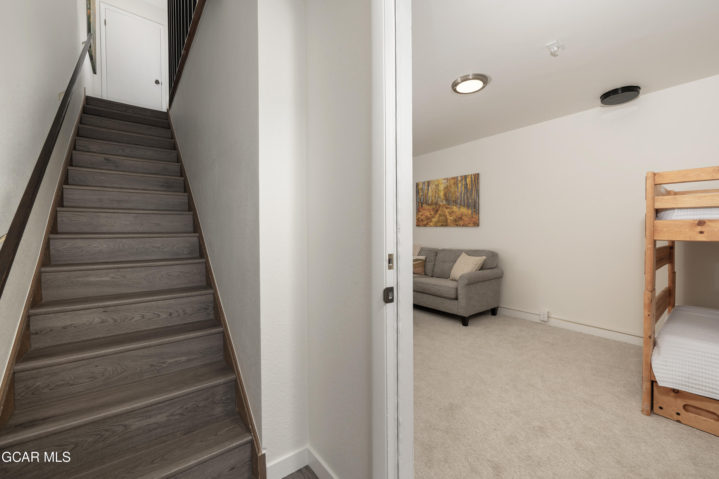 460 GCR 832 Fraser CO 80442