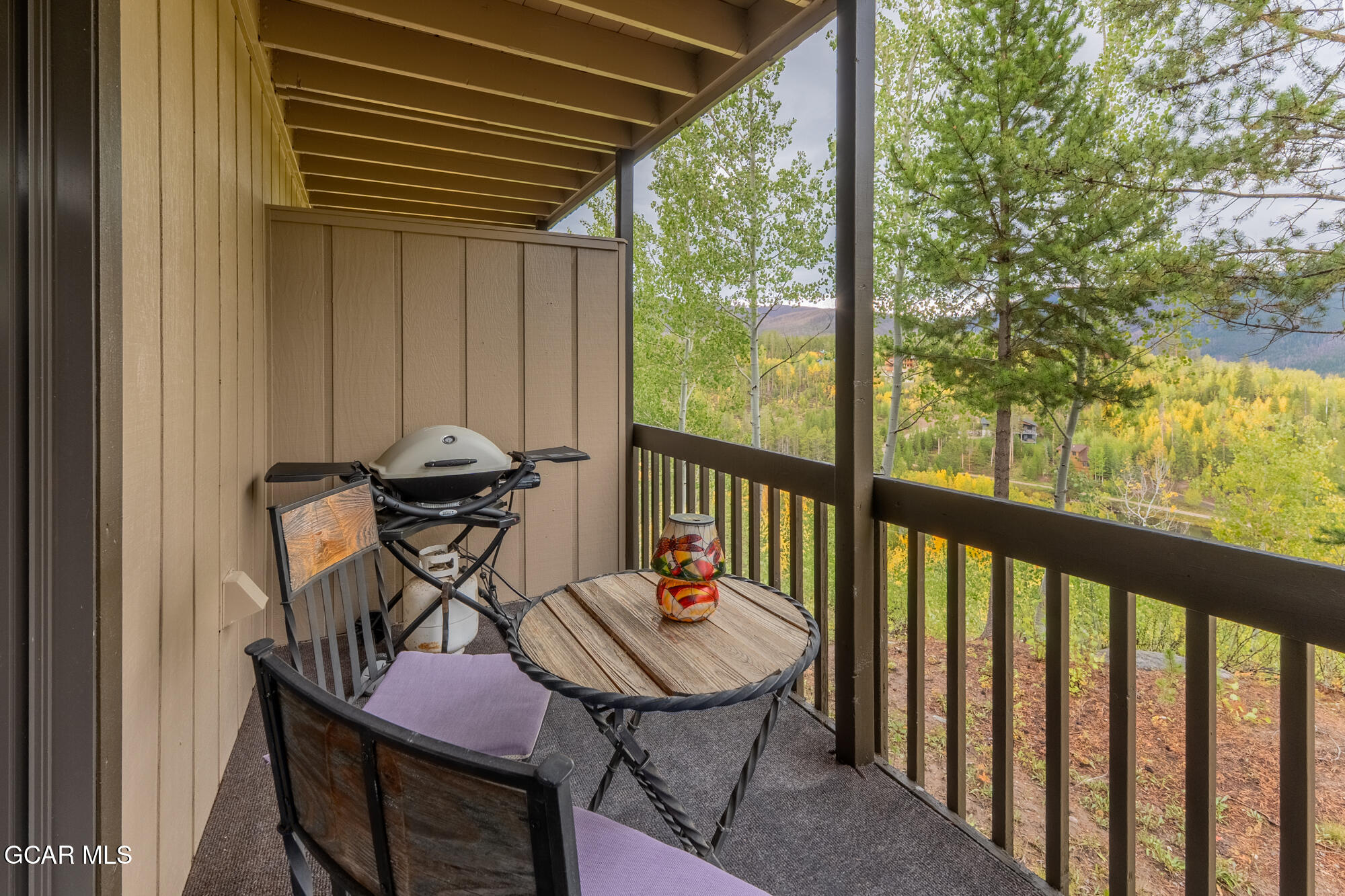 208 Tall Pine Circle Grand Lake CO 80447