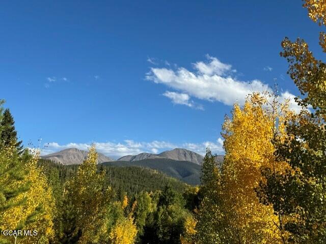 214 GCR 702 Drive Winter Park CO 80482