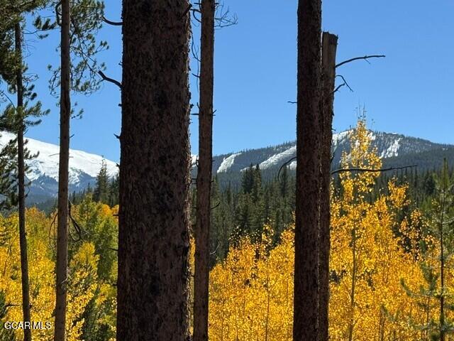 214 GCR 702 Drive Winter Park CO 80482