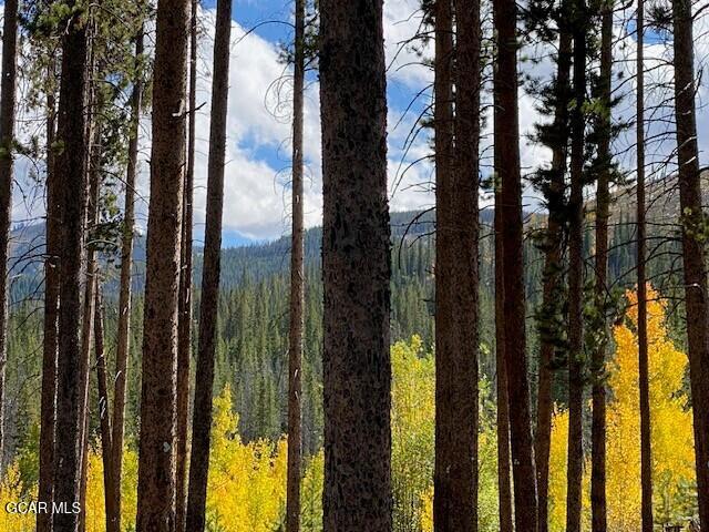 214 GCR 702 Drive Winter Park CO 80482