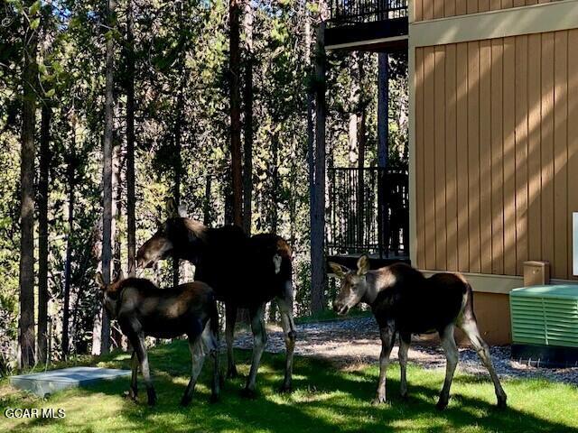 214 GCR 702 Drive Winter Park CO 80482