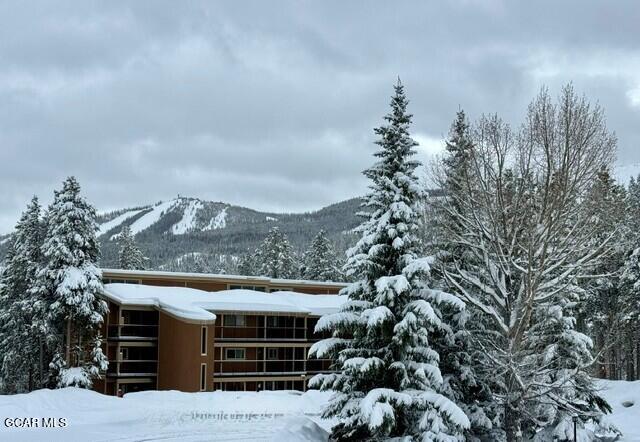 214 GCR 702 Drive Winter Park CO 80482