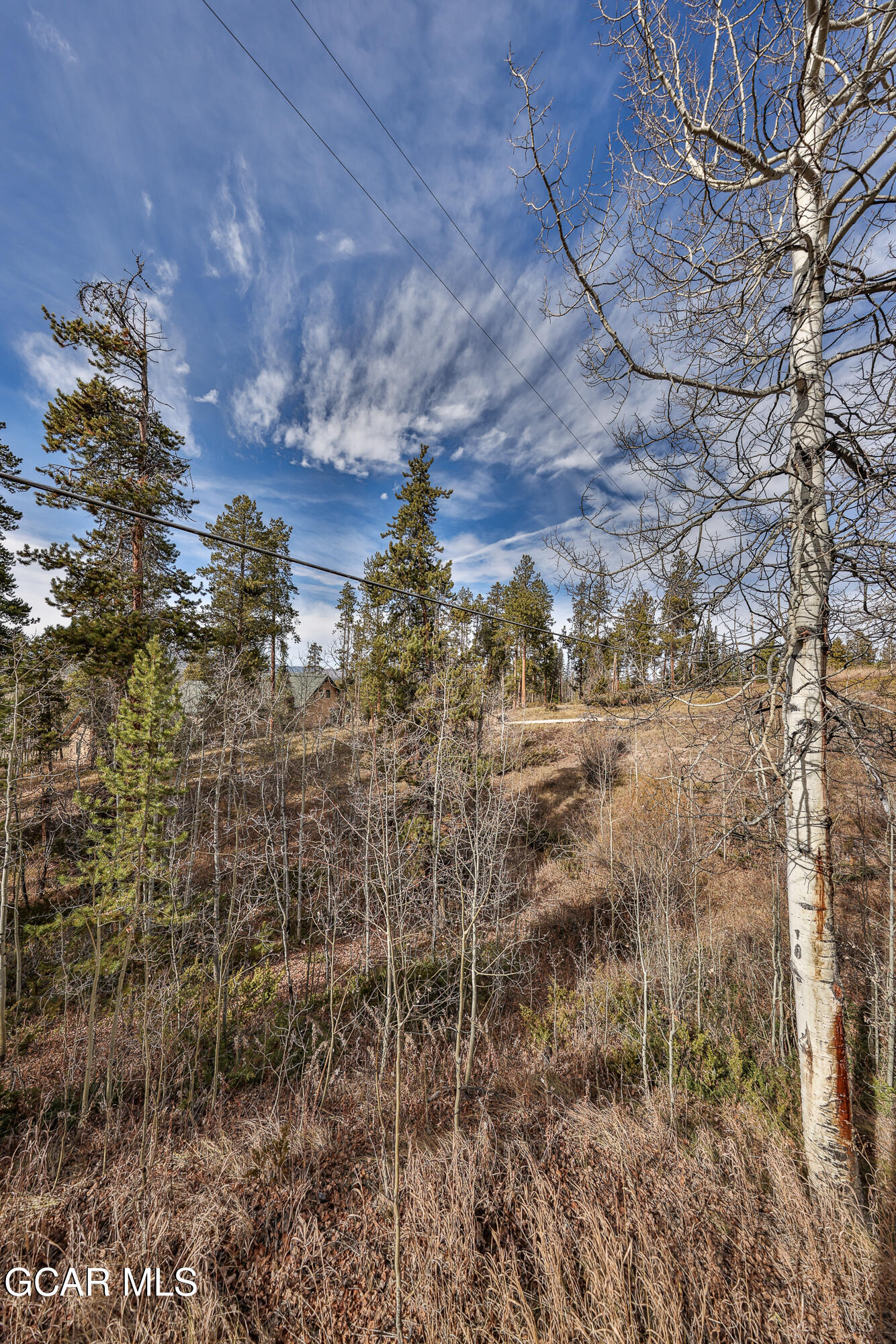 905 GCR 834 Fraser CO 80442