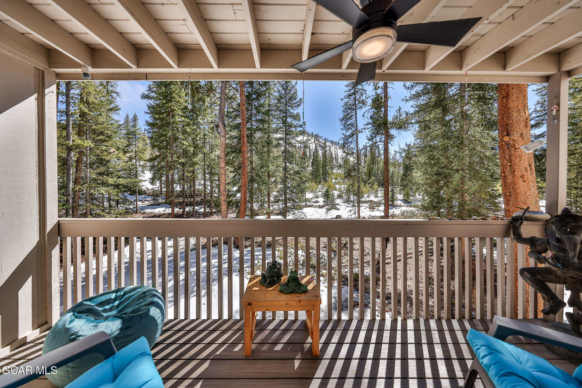 46 E Viking Winter Park CO 80482