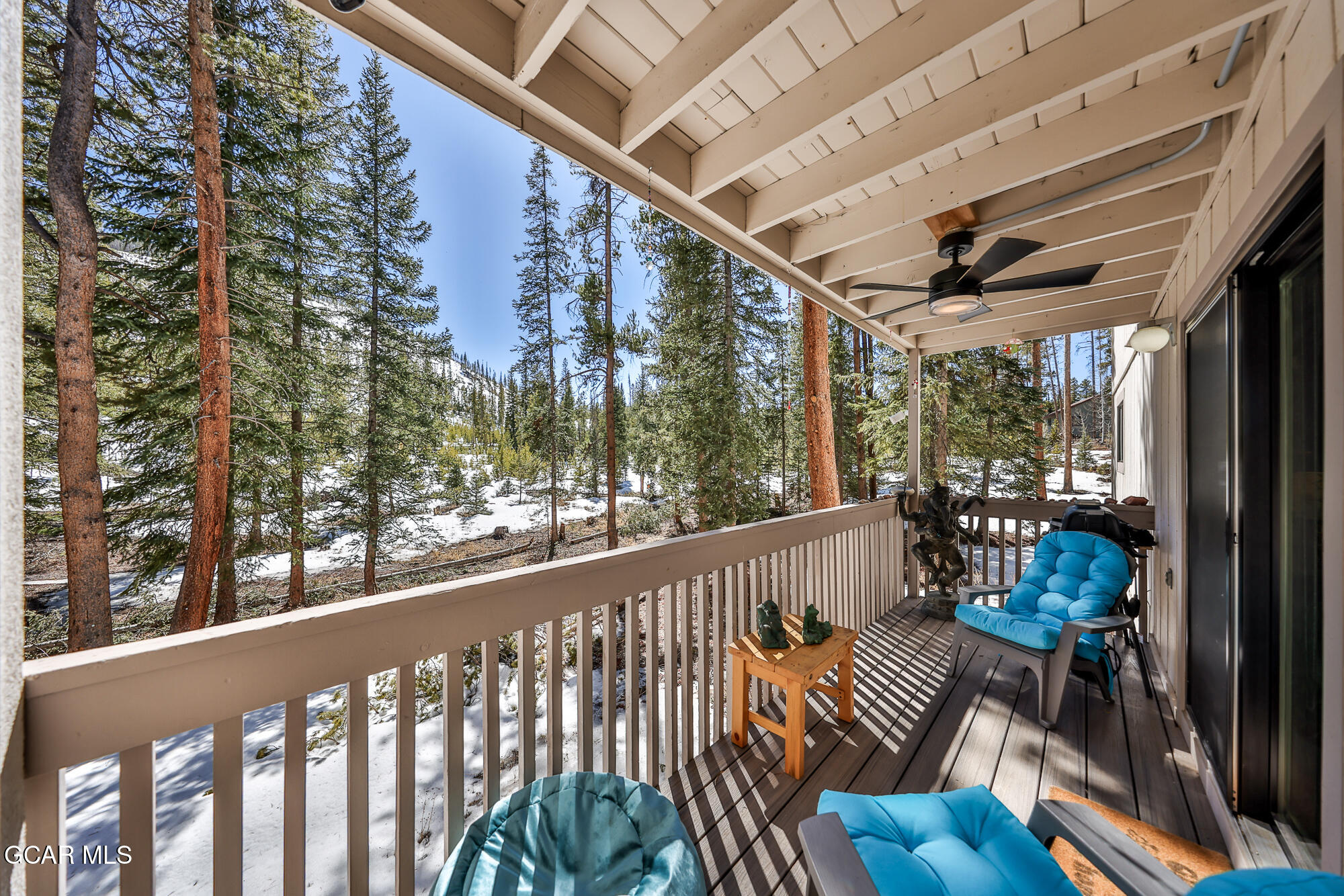 46 E Viking Winter Park CO 80482