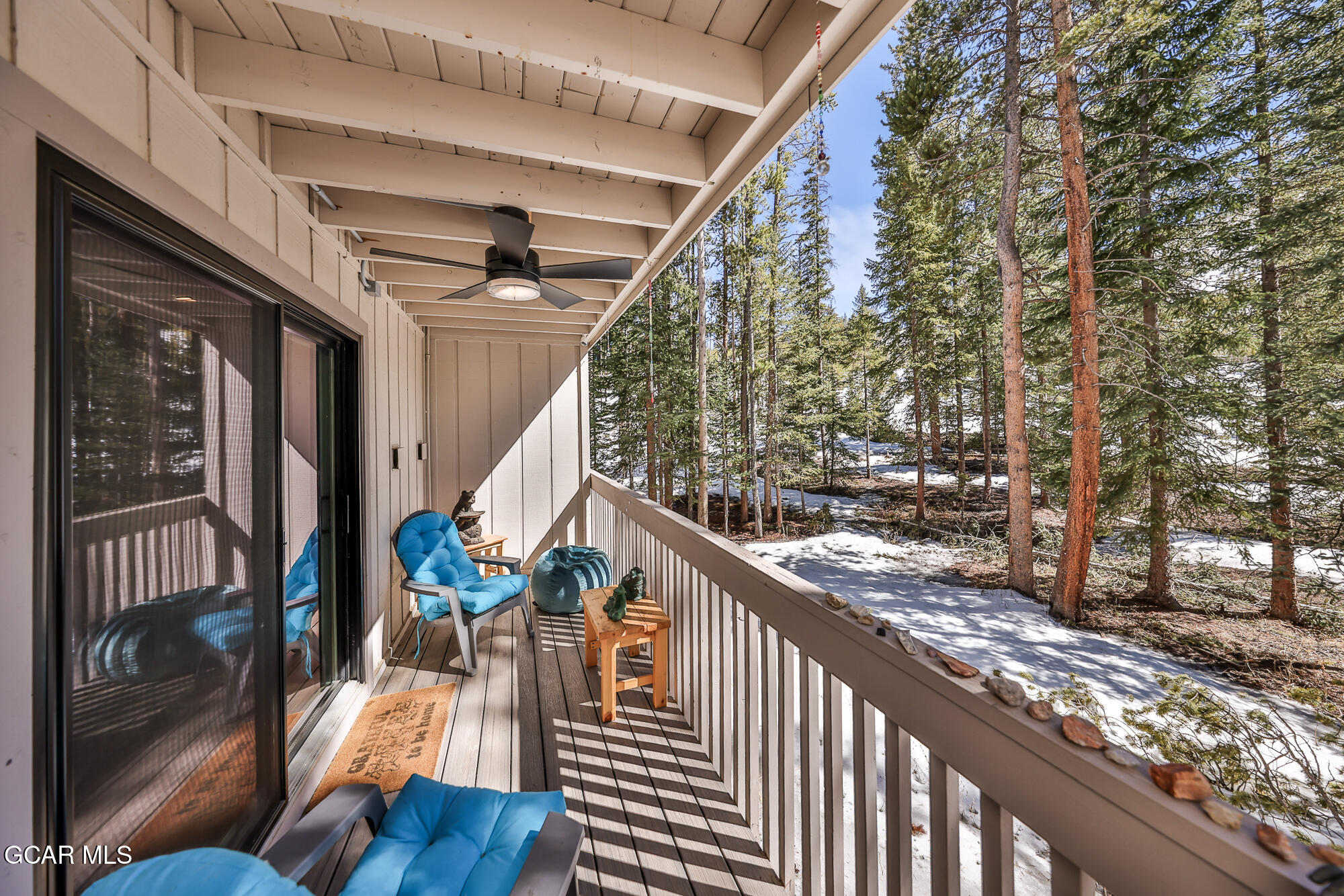 46 E Viking Winter Park CO 80482