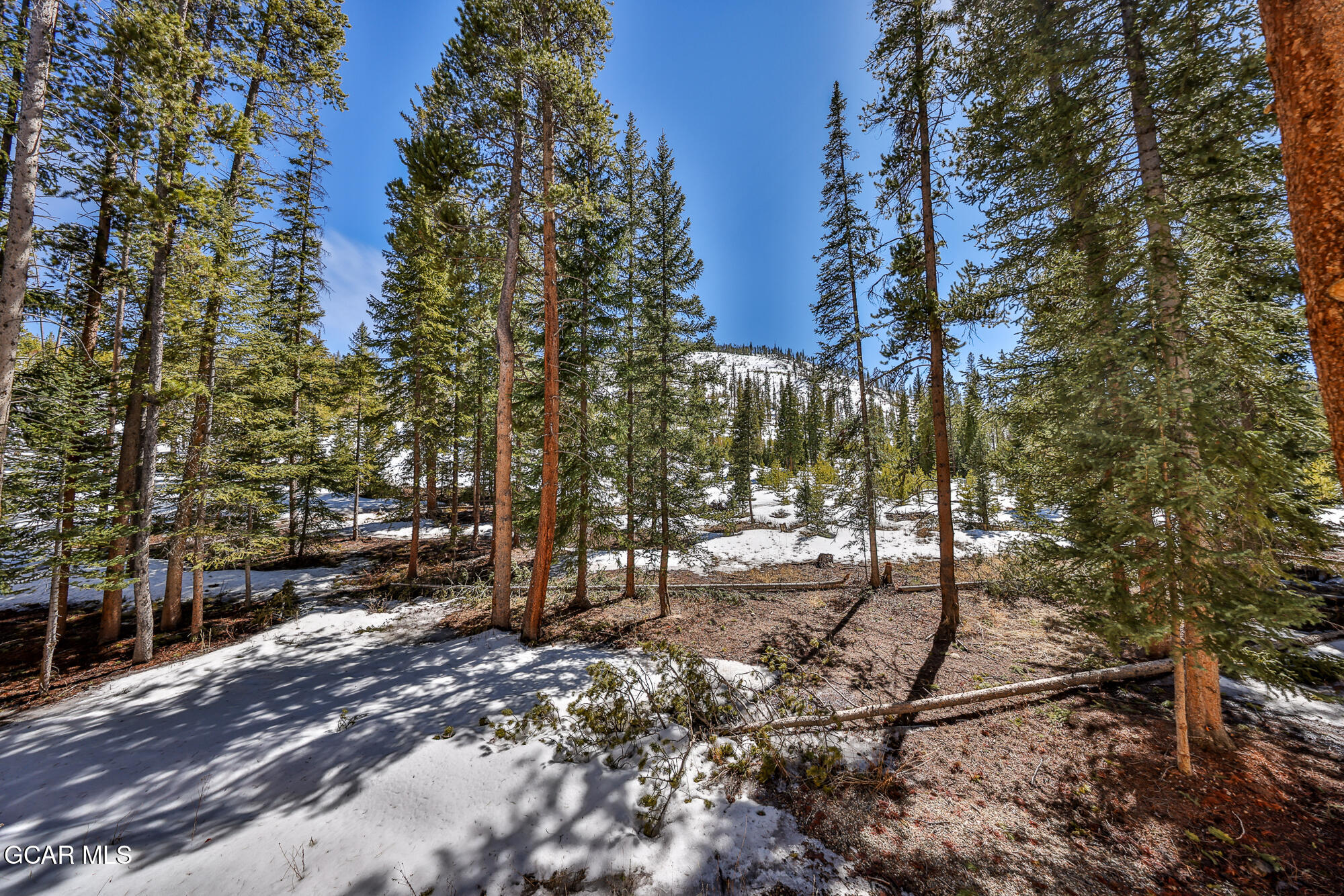 46 E Viking Winter Park CO 80482