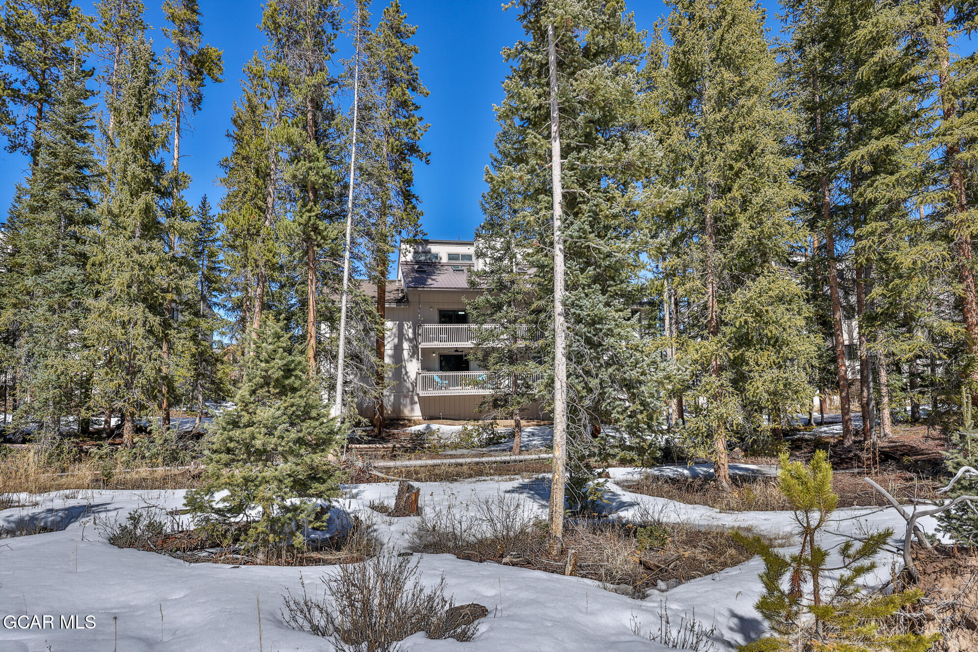46 E Viking Winter Park CO 80482