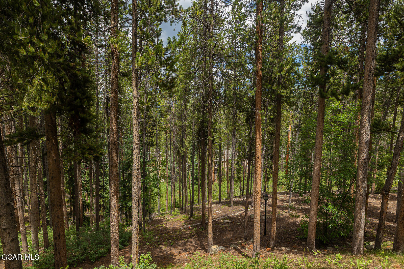 216 GCR 702 #18-101 Winter Park CO 80482