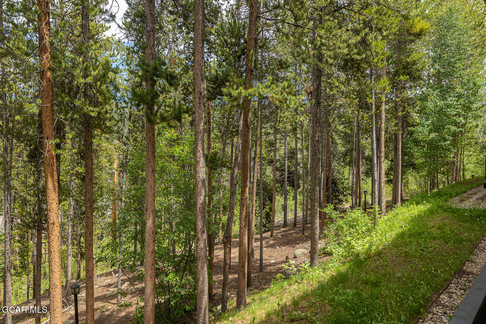 216 GCR 702 #18-101 Winter Park CO 80482