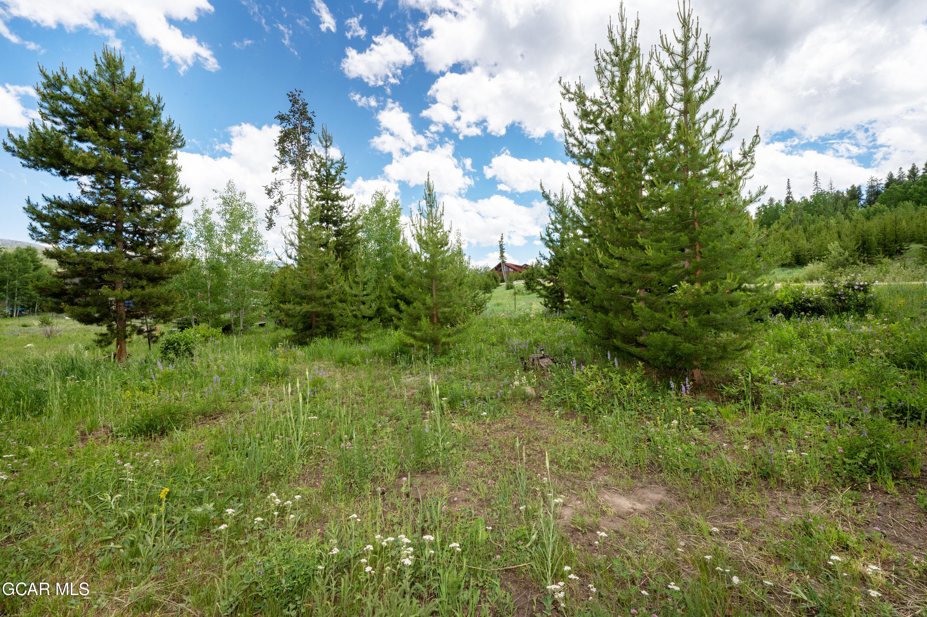 46 Telemark Drive Winter Park CO 80482