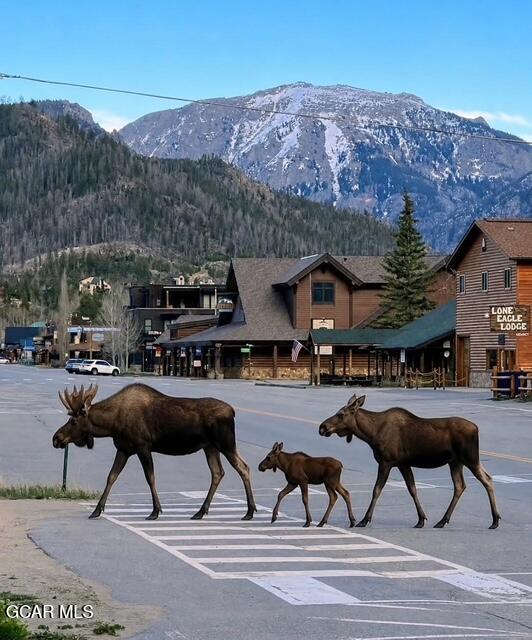 800 Park Avenue Grand Lake CO 80447