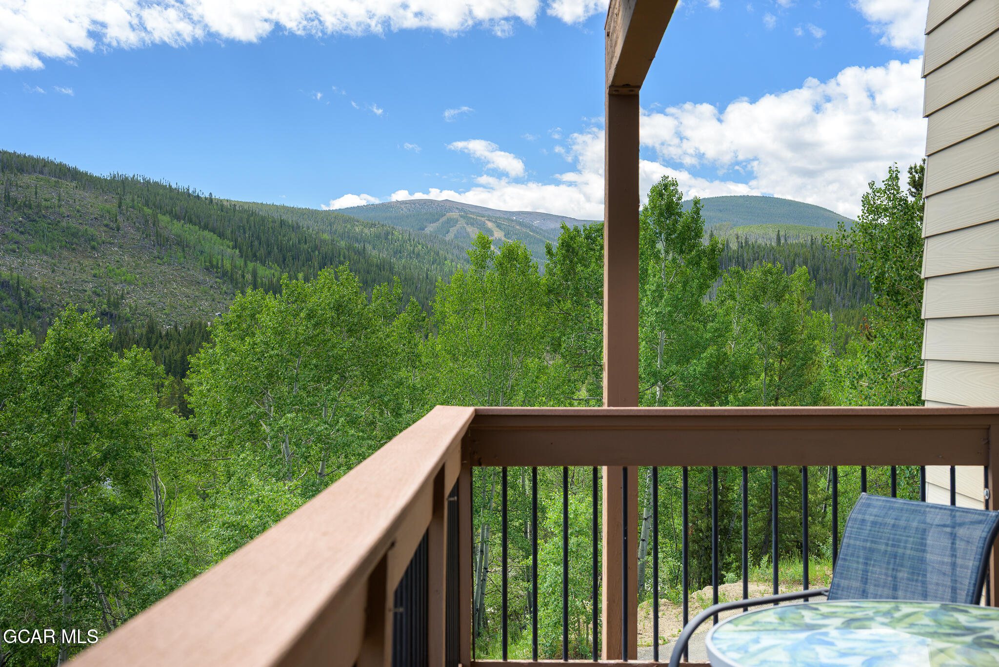 123 Woodspur Lane Winter Park CO 80482